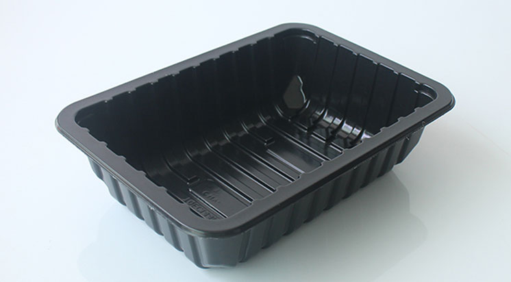 Disposable PP Tray/PP Container